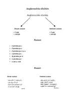 Konspekts 'Pārskats par dialektiem', 6.