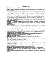 Referāts 'Sakrālās arhitektūras un mākslas mantojums Medumu pagastā ', 23.