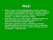 Prezentācija 'Meži', 3.