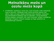 Prezentācija 'Meži', 10.