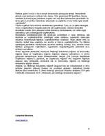 Referāts 'Fiktīvo uzņēmumu problemātika un apkarošana Latvijā', 19.