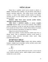 Referāts 'Imports un eksports', 16.