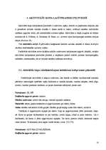 Diplomdarbs 'Daudzpusīgais intelekts lasītprasmes pilnveidē 4.klasē', 16.