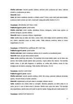 Diplomdarbs 'Daudzpusīgais intelekts lasītprasmes pilnveidē 4.klasē', 17.