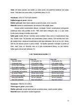 Diplomdarbs 'Daudzpusīgais intelekts lasītprasmes pilnveidē 4.klasē', 19.