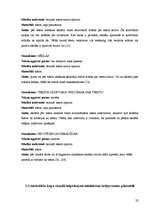 Diplomdarbs 'Daudzpusīgais intelekts lasītprasmes pilnveidē 4.klasē', 22.