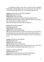 Diplomdarbs 'Daudzpusīgais intelekts lasītprasmes pilnveidē 4.klasē', 23.