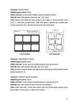 Diplomdarbs 'Daudzpusīgais intelekts lasītprasmes pilnveidē 4.klasē', 25.