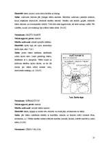 Diplomdarbs 'Daudzpusīgais intelekts lasītprasmes pilnveidē 4.klasē', 27.