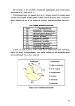 Diplomdarbs 'Daudzpusīgais intelekts lasītprasmes pilnveidē 4.klasē', 39.