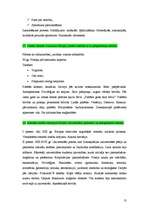 Konspekts 'Tiesību vēsture', 13.