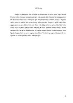 Referāts 'Eksotiskie dzīvnieki', 14.