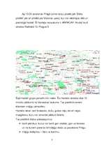 Referāts 'Vasaras brīvdienas Prāgā', 5.