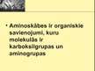 Prezentācija 'Aminoskābes', 2.
