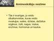 Prezentācija 'Aminoskābes', 6.