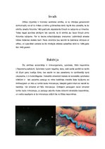 Referāts 'Sifiliss', 3.