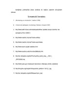 Referāts 'Sifiliss', 10.