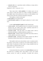 Referāts 'Augstskolu beidzēju iespējas darba tirgū. Pēdējo kursu studentu un darba devēju ', 6.