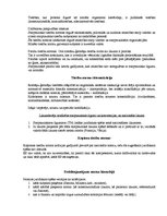 Konspekts 'Tiesību zinības', 11.