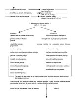 Konspekts 'Tiesību zinības', 34.