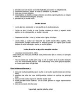 Konspekts 'Tiesību zinības', 41.