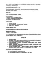 Konspekts 'Tiesību zinības', 45.