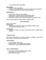 Konspekts 'Tiesību zinības', 46.