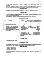 Konspekts 'Tiesību zinības', 56.