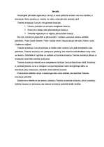 Referāts 'Tieslietu ministrija', 3.