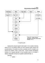 Referāts 'Tēja, tās veidi', 12.