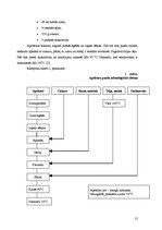 Referāts 'Tēja, tās veidi', 13.