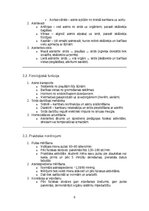 Konspekts 'Cilvēka orgānu sistēmu funkciju praktiska analīze', 8.