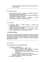 Konspekts 'Cilvēka orgānu sistēmu funkciju praktiska analīze', 11.