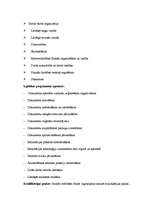 Referāts 'Lietvedība', 17.