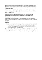 Konspekts '1. septembra scenārijs pirmsskolā: bērnu emocionālās adaptācijas un pedagoģiskās', 4.