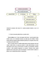 Prakses atskaite 'Komunikācija uzņēmumā', 5.