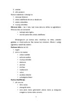 Konspekts 'Zoba mīkstie audi, kariess, siekalas, halitoze', 7.