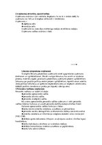 Prakses atskaite 'Prakses atskaite uzņēmumā', 3.