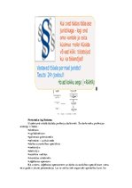 Prakses atskaite 'Prakses atskaite uzņēmumā', 8.