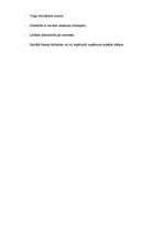 Prakses atskaite 'Prakses atskaite SIA "Remakss"', 6.