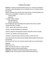 Prakses atskaite 'Prakses atskaite SIA "Remakss"', 9.