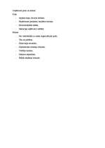 Prakses atskaite 'Prakses atskaite SIA "Remakss"', 26.