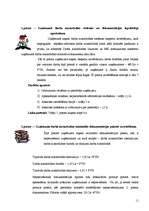 Biznesa plāns 'SIA "SV un Partneri"', 11.