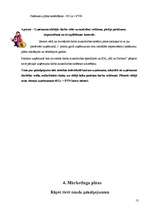 Biznesa plāns 'SIA "SV un Partneri"', 13.