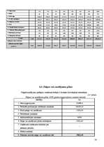 Biznesa plāns 'SIA "SV un Partneri"', 26.