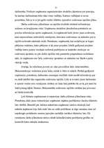 Referāts 'Uzņēmējdarbības riski Latvijā', 20.