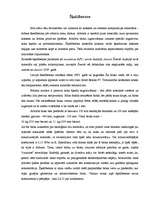 Referāts 'Ārsienu materiāli', 12.