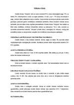 Referāts 'Ārsienu materiāli', 16.