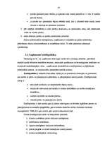 Diplomdarbs 'Debitoru parādu pārvaldīšana Eiropas Savienības tirgus apstākļos', 43.