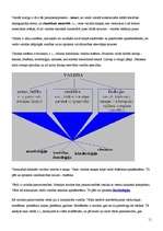 Eseja 'Valodas un mēs', 11.